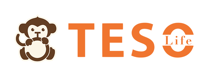 Teso Life